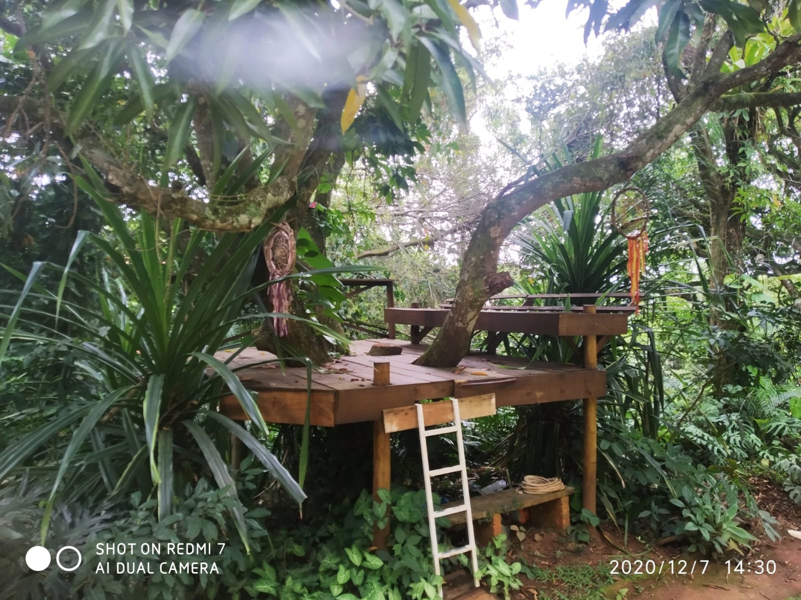 Causos da psicóloga nômade